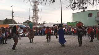 Danza del Torito Tonantzin del Borre Quijas Silao Gto 2019 [upl. by Yoj]