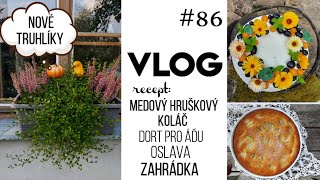 VLOG 86  hruškový koláč nové truhlíky dort pro Áďu oslava zahrádka 🎂 [upl. by Nosloc]