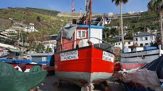 AIDAAusflug quotMalerische Aussichtenquot auf Madeira [upl. by Ykcub188]