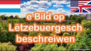 🇺🇸🇬🇧🇱🇺 Image description in Luxembourgish  e Bild op Lëtzebuergesch beschreiwen Eng  Lu [upl. by Nomzaj919]