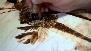 Pyrography art by jean bouick14Eagle hunting [upl. by Assital]