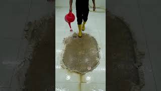 Whats the Best Carpet Clean Method for a Satisfying Clean [upl. by Anirhtak]