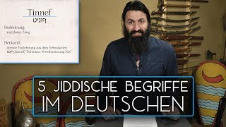 5 Jiddische Begriffe im Deutschen [upl. by Corin68]