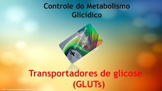 Transportadores de glicose  GLUTs [upl. by Pepin]