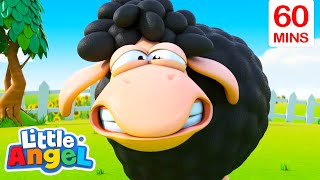 Baa Baa Black Sheep  60 Minutes of Little Angel  Best Animal Videos  Kids Nursery Rhymes [upl. by Airdnoed]