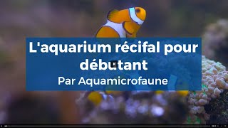 Laquarium récifal pour débutant [upl. by Yanat]