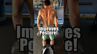 Dumbbell Exercise for Strength amp Posture shorts [upl. by Nylarej]