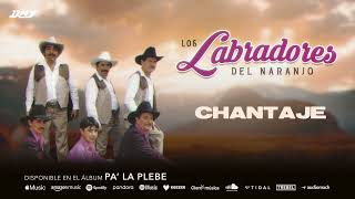 Los Labradores Del Naranjo  Chantaje Audio Oficial [upl. by Aliab]