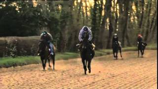 EXTRAIT  De Penthièvre à Auteuil  Equidia Live [upl. by Valdas]