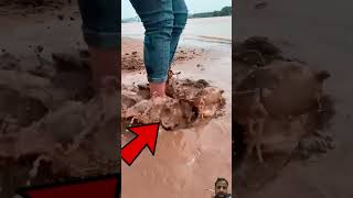 Shoes wash on mud water amazingfacts experiment interestingfacts motivation facts dailyfacts [upl. by Garrik576]