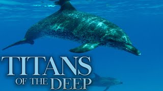 Titans of the Deep  Denizens of the Deep  4K [upl. by Enamrej]