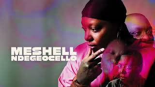 Bluesfest amp Bluesfest Tours 2024 present Meshell Ndegeocello [upl. by Margeaux561]