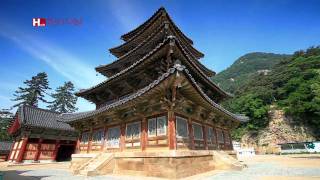 TV ZONE Buddhist Temple with Wooden Pagoda Beopjusa Palsangjeon [upl. by Ainevuol]