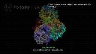 Molecules in silico ･ YSGA 23S RNA METHYLTRANSFERASE FROM BACILLUS SUBTILIS [upl. by Johnsten]