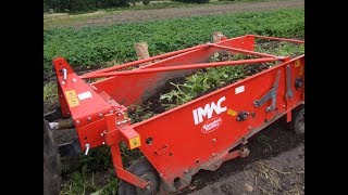 IMAC  PD  Potato  Vegetable  Lifter  Digger  Windrower [upl. by Aehtrod]