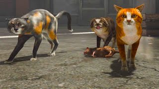 Adopting A New Cat CopyCat Full Game [upl. by Gnas]