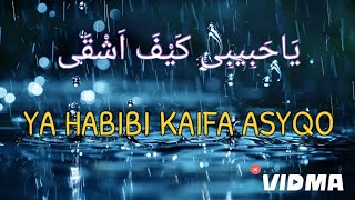 YA HABIBI KAIFA ASYQOsholawat [upl. by Rj]