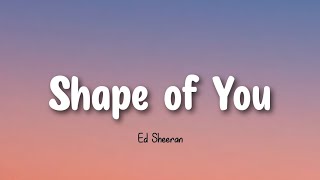 Shape of you  Ed Sheeran  Lyrics Video [upl. by Akemad]