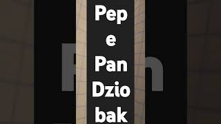 pepepandziobak music dance techno funny party automobile musica dj remix song [upl. by Nillek]