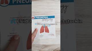 🫁 Pathophysiology of Pneumonia Visual Breakdown [upl. by Ydurt]