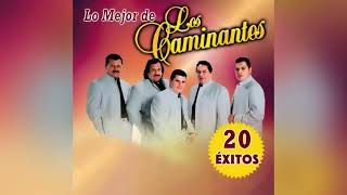 Los Caminantes Mix 20 Exitos [upl. by Shepp]