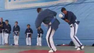 YOSEIKAN BUDO RANDORI [upl. by Durrett]