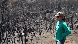 Havilah resident advocates for flood mitigation measures as Borel BAER Team completes assessment [upl. by Nnayhs]