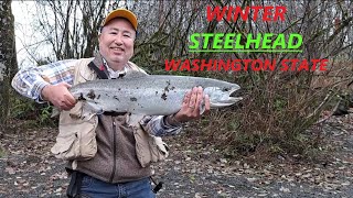 STEELHEAD Fishing Washington State Small River 💪🏼🎣 [upl. by Rajewski]