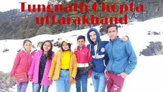 Chopta uttarakhand  Trek march 2022  Tungnath temple uttarakhand  chopta travel places [upl. by Hayalat324]