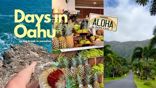 Days in Oahu vlog  beach days exploring the island [upl. by Yaluz320]