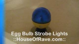 Egg Bulb Strobe Lights  HouseOfRavecom [upl. by Herschel941]