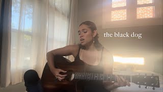 the black dog  taylor swift cover [upl. by Ramberg]