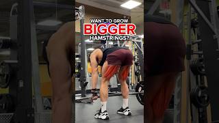 3 BEST Exercises for BIGGER Hamstrings [upl. by Amorette]