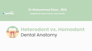 Heterodont vs Homodont [upl. by Driscoll]