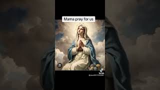 Queen of Heaven I adore you love catholicmass catholicism [upl. by Clementina112]