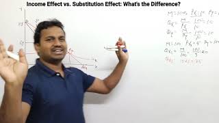 Income Effect vs Substitution Effect Whats the Difference [upl. by Karil]