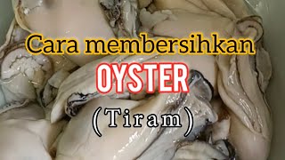 CARA MEMBERSIHKAN OYSTER  TIRAM [upl. by Osbourn]