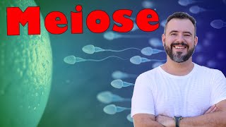 MEIOSE  Divisão Celular  Prof Daniel Fernandes biologia citologia aula enem meiose [upl. by Nodanrb]