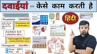 दवाइयों का काम  Mechanism Of Medicine  Medicine  Treatment  Pharmacy  Doctor  Hospital  इलाज [upl. by Secnarfyram537]