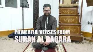 Quran Recitation by Qari Obaida Muafaq Al Kurdi [upl. by Ytinav]