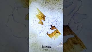 ✨10  TREMELLA✨ [upl. by Eppesuig992]