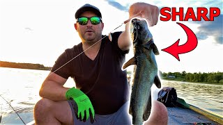 How to Hold amp Unhook Catfish Helpful Trick [upl. by Bordiuk]