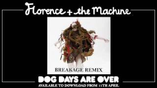 Florence and the Machine  Dog Days Are Over Breakage Remix [upl. by Cristian]