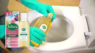 THE 5 MINUTE DEEP CLEAN FOR YOUR TOILET  Disinfect the loo with Zoflora [upl. by Atte]