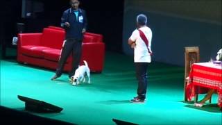 El Lider de la Manada  Cesar Millan LimaPeru Parte 4 [upl. by O'Grady]