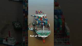 Port of Yangshan [upl. by Ycniuq200]