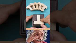 सब  T  को कैसे फिट करें 💯🏆 Albert Einstein trollface trollfaceedit shorts troll memes [upl. by Laetitia153]