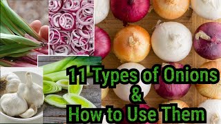 Types of Onions amp How to Use ThemOnion VarietiesAgroStar [upl. by Ruzich]