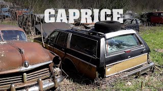 Wagon Week EP1  Caprice Classic [upl. by Rico342]