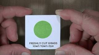 Lawn Fawn Dye Ink Pad Review amp Demonstration [upl. by Richy]